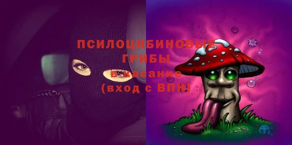 spice Богородицк