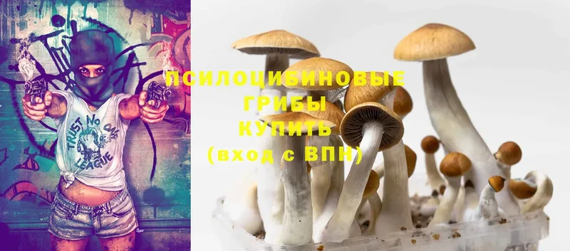 Псилоцибиновые грибы Magic Shrooms  площадка официальный сайт  Горбатов 